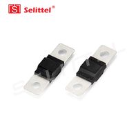 ANS-S-CU Bolt-down fuses